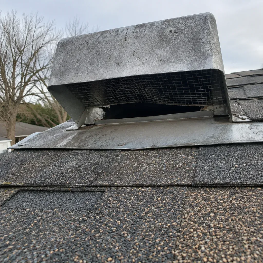 Rodent Trapping service in the United States